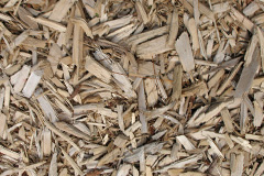 biomass boilers Beetley